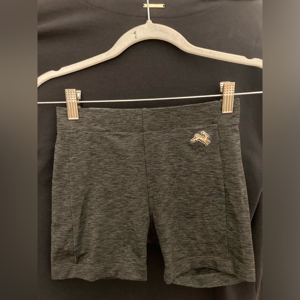 Tracksmith Gray Session Shorts Tights